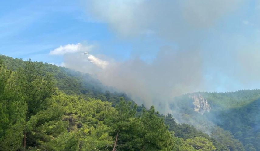 Çanakkale'de orman yangını başladı