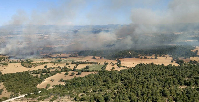 Çanakkale’de orman yangını çıktı