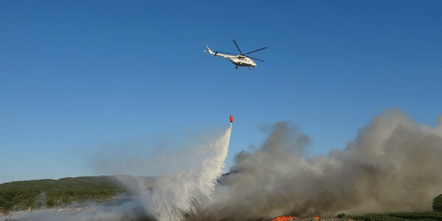 Çanakkale'de orman yangını