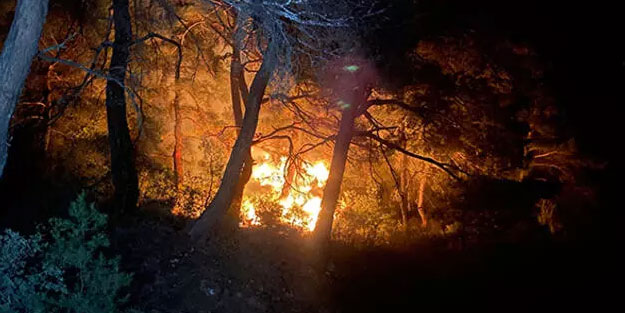Çanakkale'de orman yangını