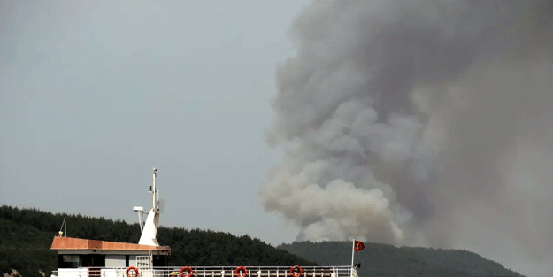 Çanakkale'de orman yangını