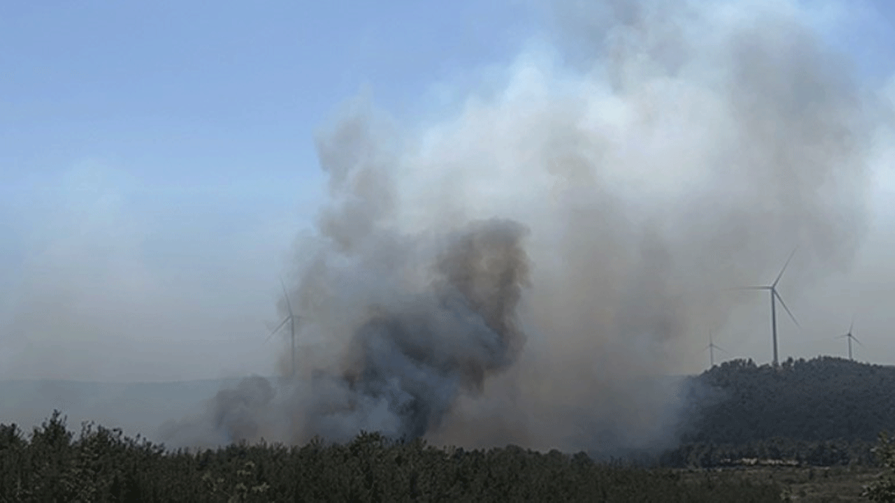Çanakkale'de orman yangını!
