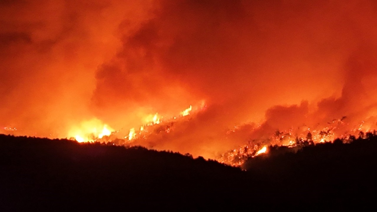 Çanakkale’de orman yangını
