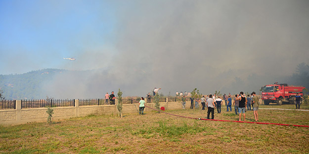 Çanakkale'de orman yangını