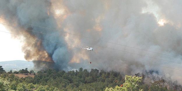Çanakkale'de orman yangını! Kontrol altına alındı