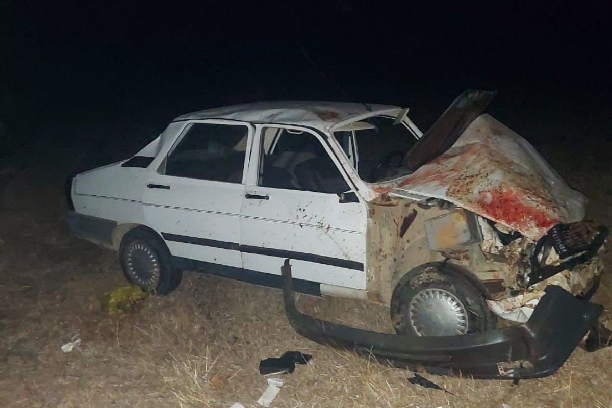 Çanakkale'de otomobil koyun sürüsüne daldı: 13 koyun telef oldu