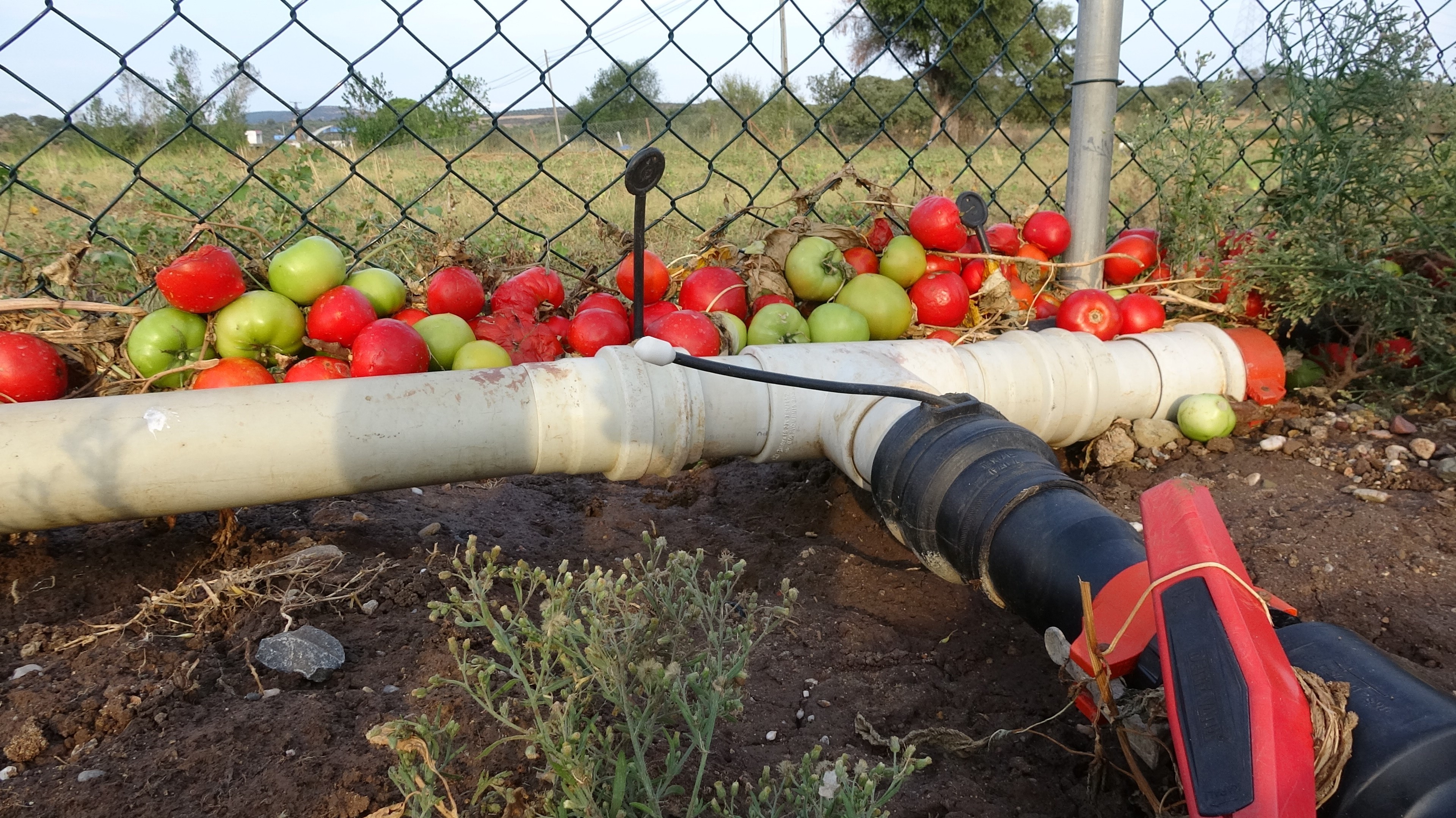 Çanakkale'de selden bin 150 dekar tarım arazisi zarar gördü!