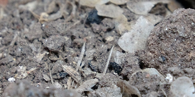 Çanakkale'de tarihi keşif! Kazdıkça fışkırıyor... 1600 yıllık