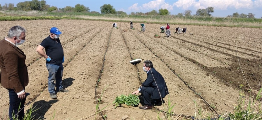 Çanakkale’de tarımsal üretim kesintisiz sürdürülüyor 