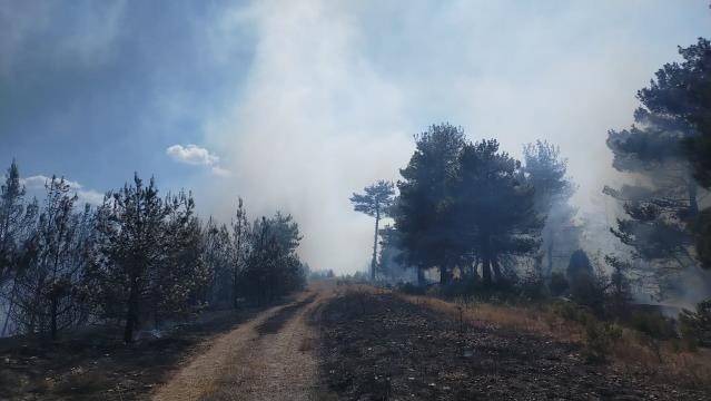 Çanakkale’de yangın çıktı | Çanakkale’de çıkan yangında son durum ne?