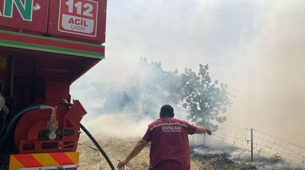 Çanakkale'deki orman yangını kontrol altına alındı
