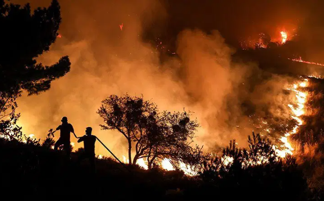 Çanakkale’deki orman yangını kontrol altında