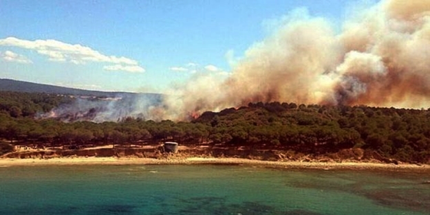 Orman yangını nihayet söndürüldü
