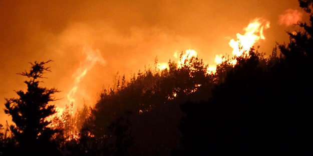 Çanakkale'deki orman yangınında son durum!