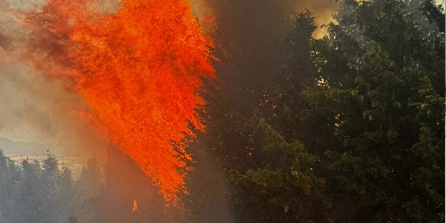 Çanakkale'deki yangın yayıldı