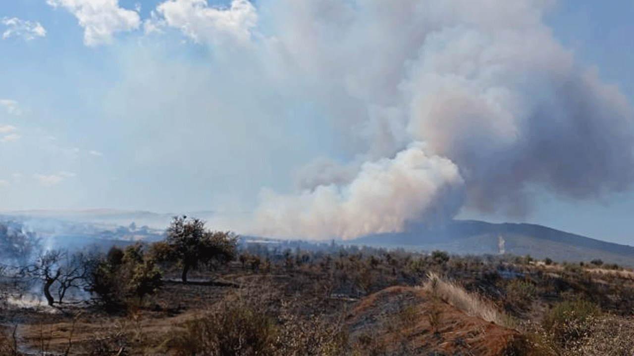 Çanakkale'deki yangına havadan ve karadan müdahale