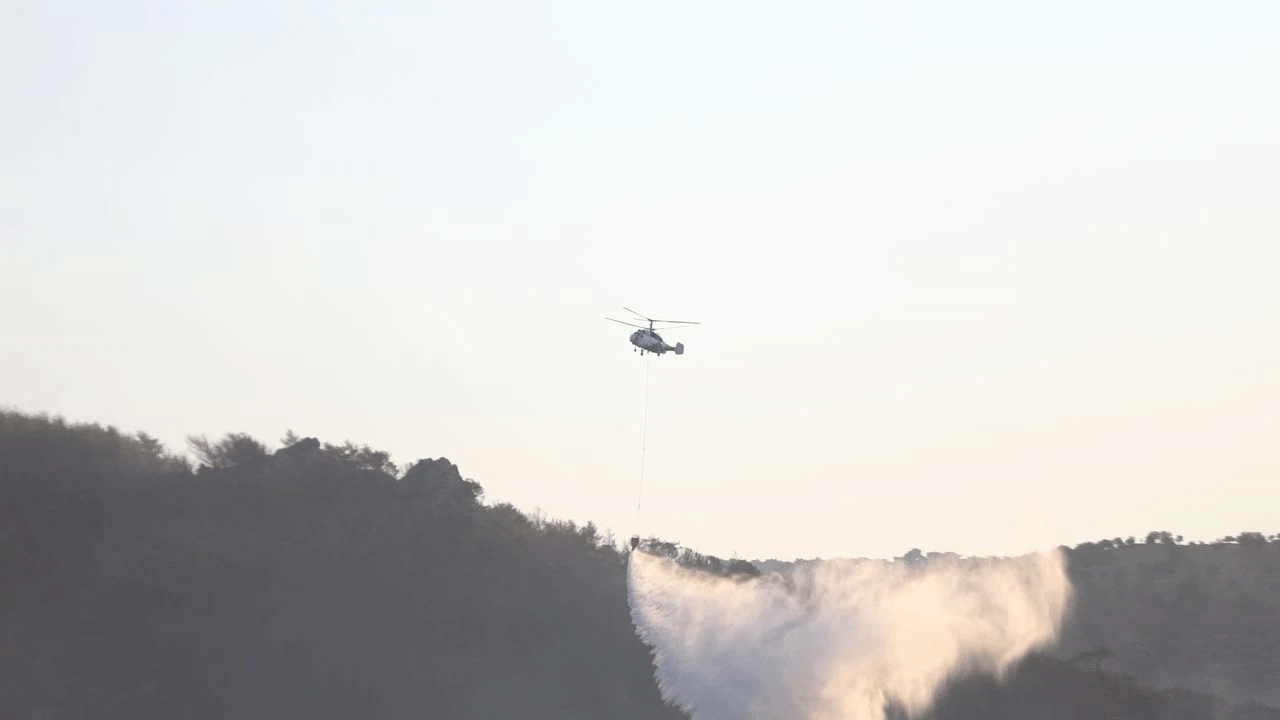 Çanakkale'den güzel haber