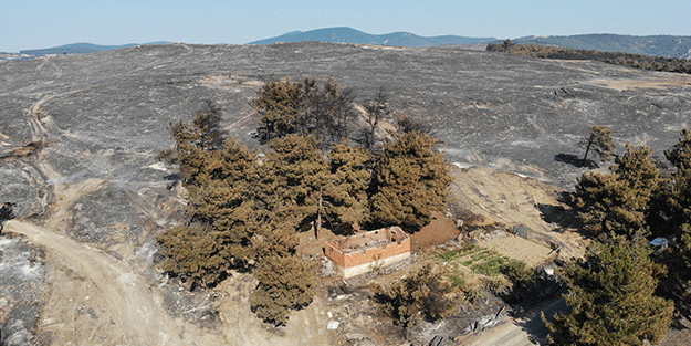 Çanakkale'den sevindiren haber! Bakan Yumaklı duyurdu