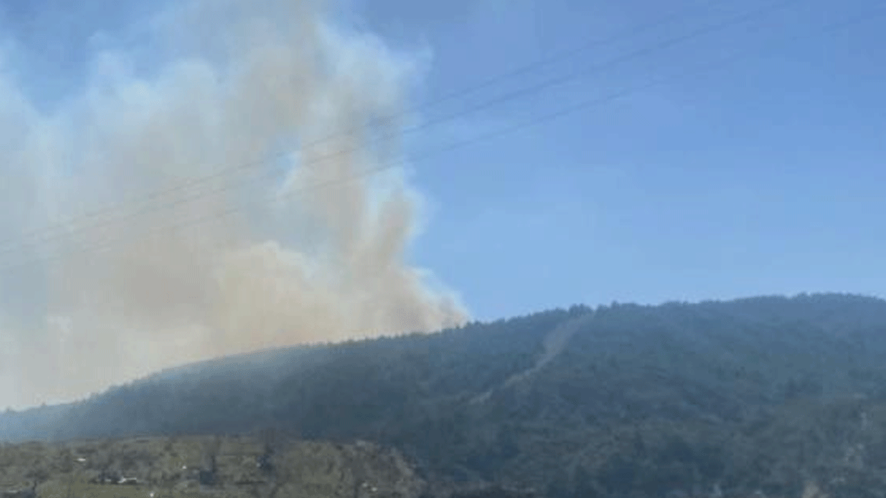 Çanakkale’den üzen haber