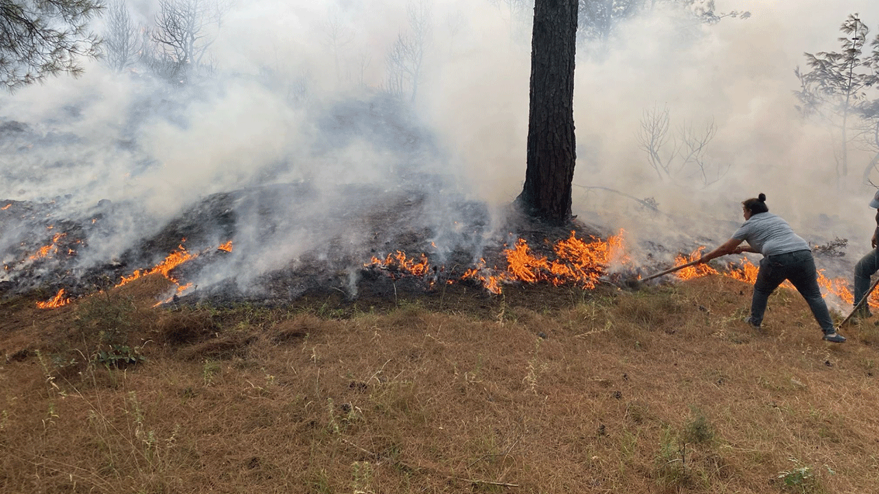 Çanakkale'den yüreklere su serpen haber
