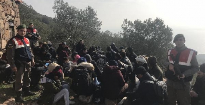 Çanakkale’nin Ayvacık ilçesinde 44 kaçak yakalandı