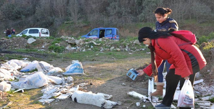Çanakkale'nin Biga ilçesinde çöpte ölü köpekler bulundu