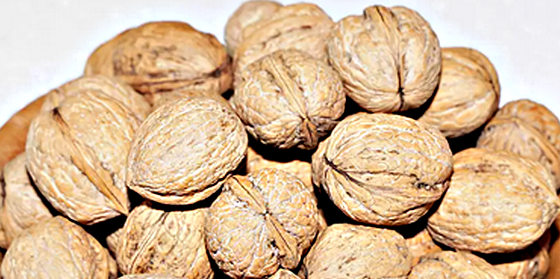 Canan Karatay ısrarla Mucize besinin bir tek ölüme çaresi yok' dedi! Yemek yapanın... Hepsinin devası