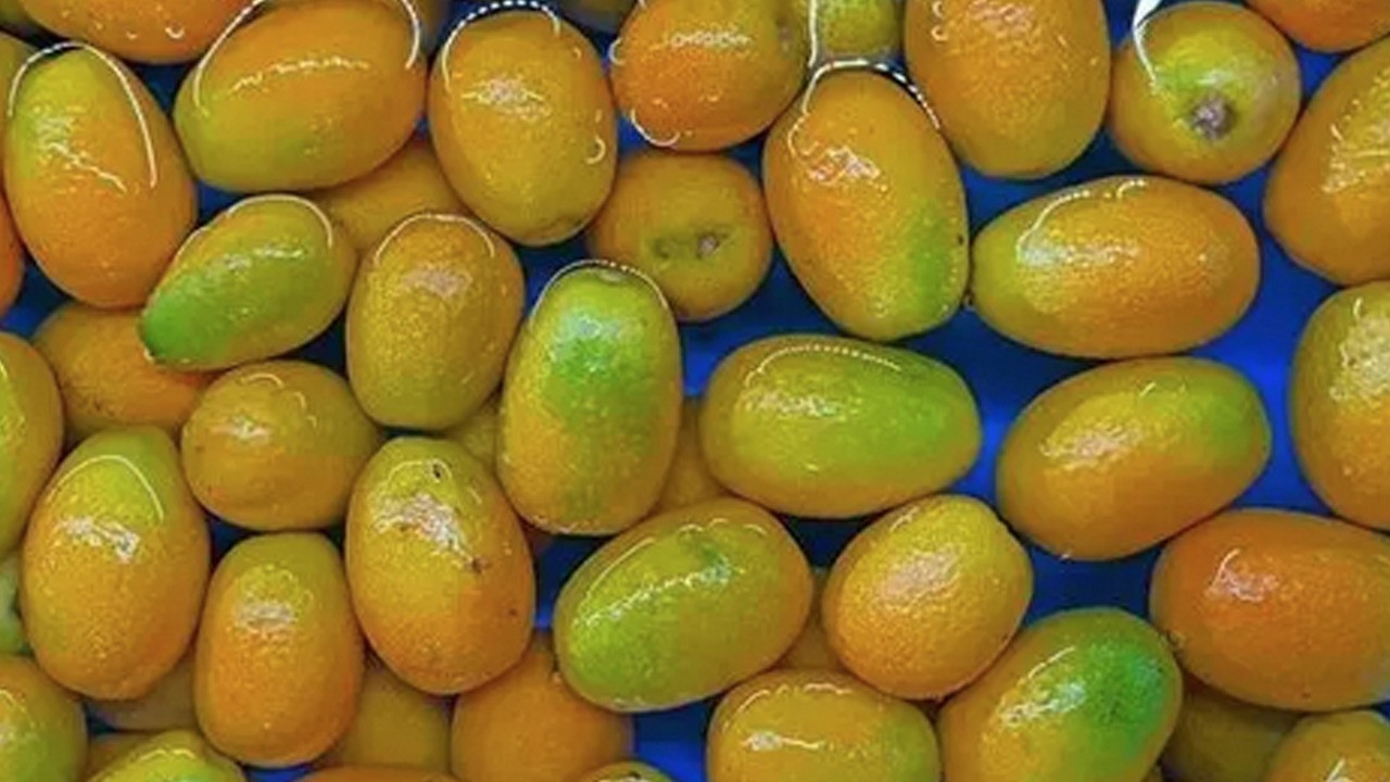 Canan Karatay tavsiye etti! Pişirip kaşık kaşık yiyince cildi içten kolajene boğuyor!