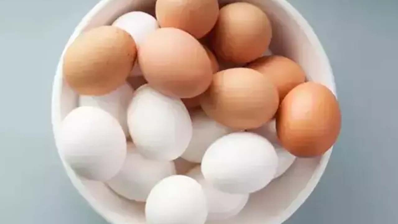 Canan Karatay üstüne basa basa önerdi: Her sabah avuç avuç tüketmeden geçmeyin!