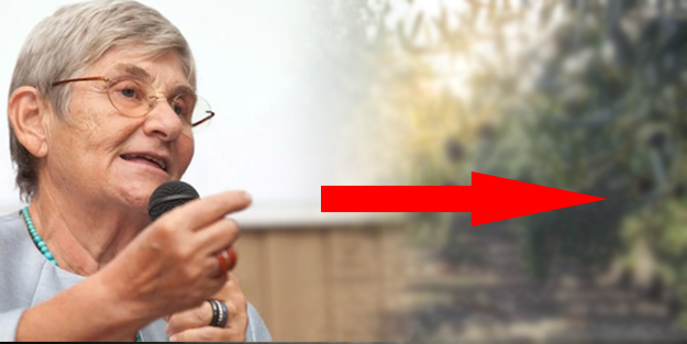 Canan Karatay’dan Türkiye'yi sallayacak yatırım tavsiyesi! Başka yolu yok, bunu yapan ayakta kalır