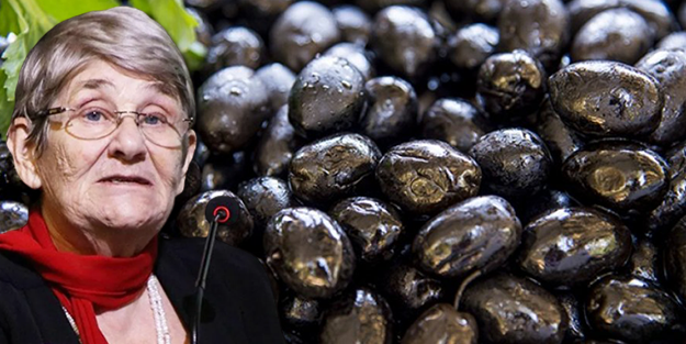 Canan Karatay'ın uyarısı duyan herkesi şok etti: Zeytini sakın böyle yemeyin! Kısır kalırsınız