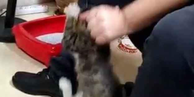 Cani adam hakkında karar verildi!