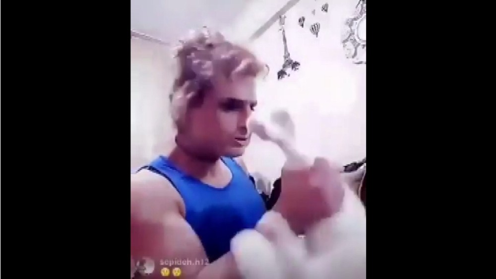 Cani adam kediye böyle eziyet etti 