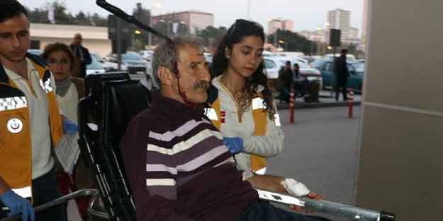 Cani evlat! Görenler gözlerine inanamadı