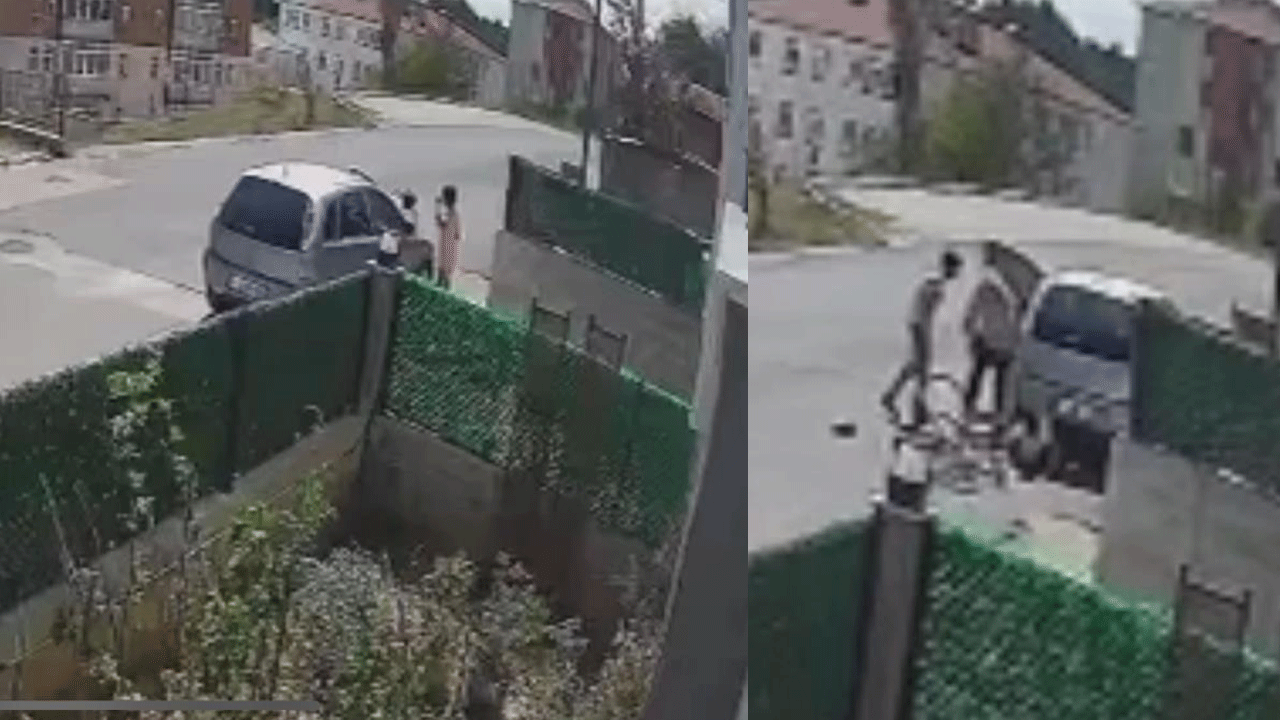 Cani kadına soğuk duş! İstenen ceza belli oldu