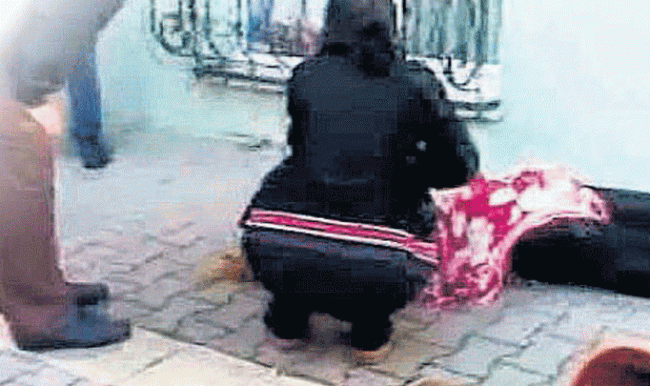 Cani kocaya komşu kadın saksısı