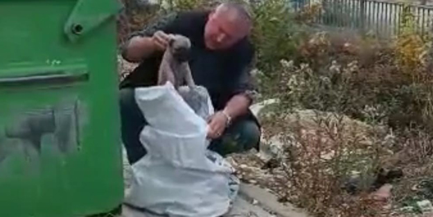 Caniler! Ağzı bağlanmış çuvalın içinden yavru köpekler çıktı