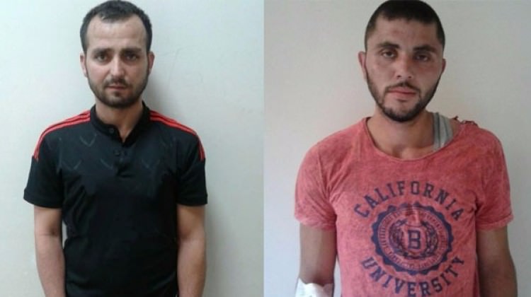 Caniler bu cümleyi duyunca her şeyi itiraf etmiş!