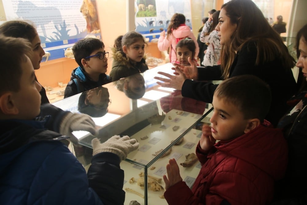 Çankayalı çocuklar Tabiat Tarihi Müzesi’ni gezdi 