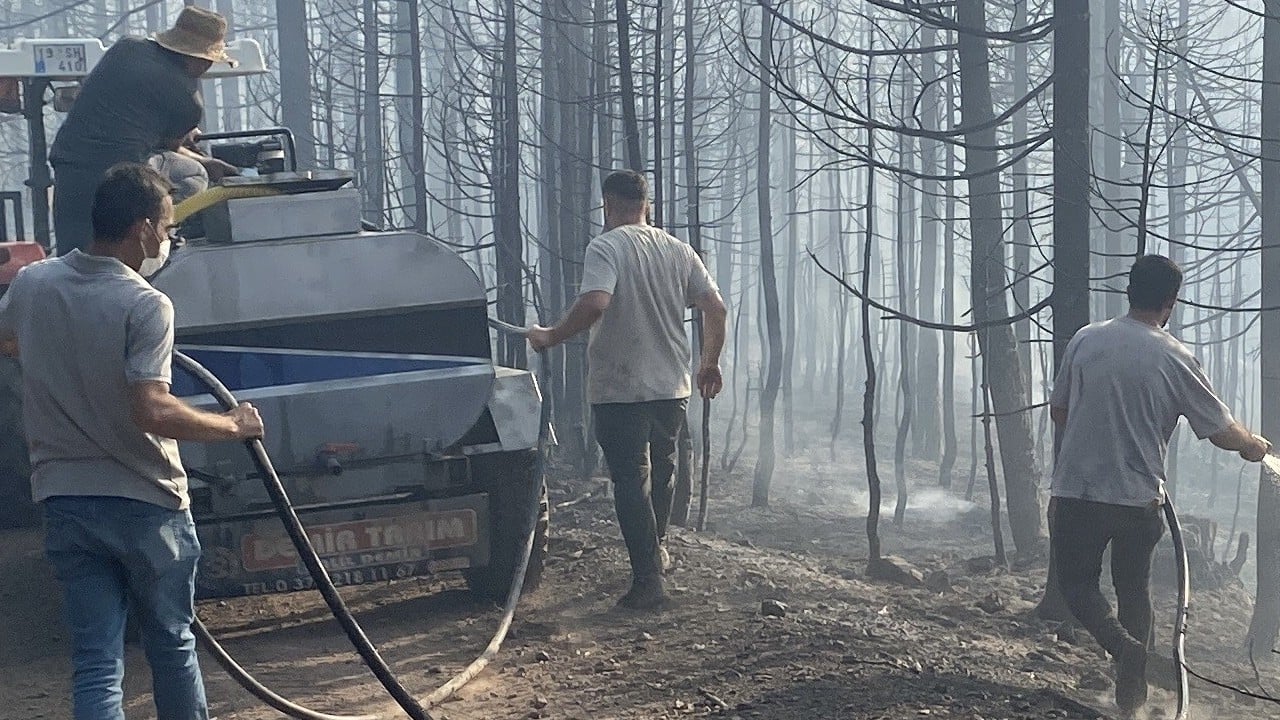 Çankırı Yapraklı’da orman yangını