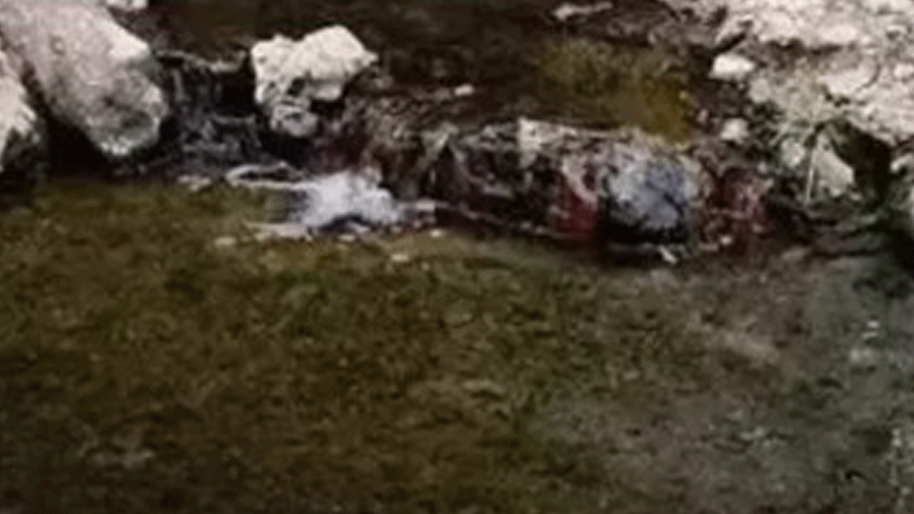 Çankırı'da akılalmaz olay: Şifalı diye girdiler öldüler!