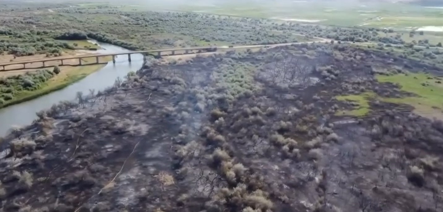 Çankırı’da çıkan yangında 80 dönümlük mera kül oldu