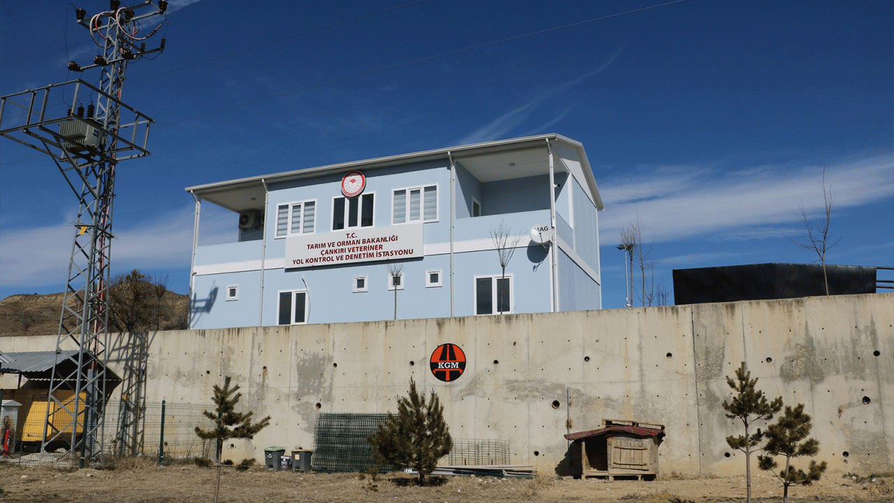 Çankırı'da kontrolsüz hayvan hareketleri için yeni denetim sistemi başlıyor