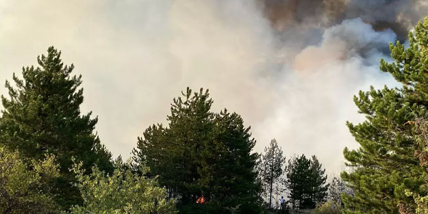 Çankırı'da orman yangını! 4 köy tahliye edildi