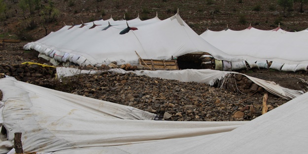 Canlarını zor kurtardılar! 205 küçükbaş hayvan ise...