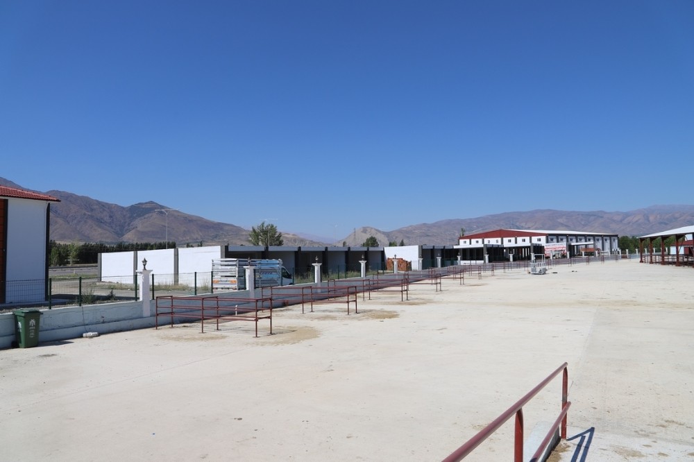 Canlı Hayvan Pazarı bayrama hazır 