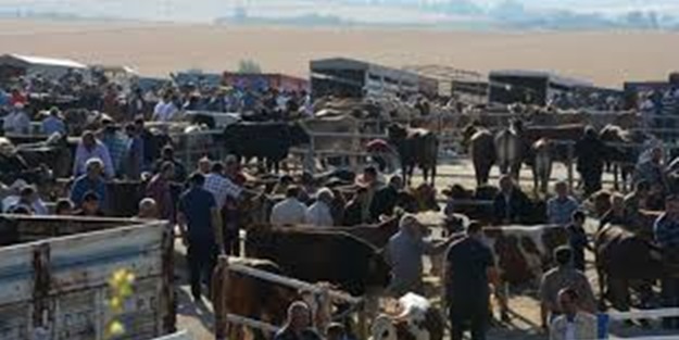 Canlı Hayvan Pazarı Kapatıldı