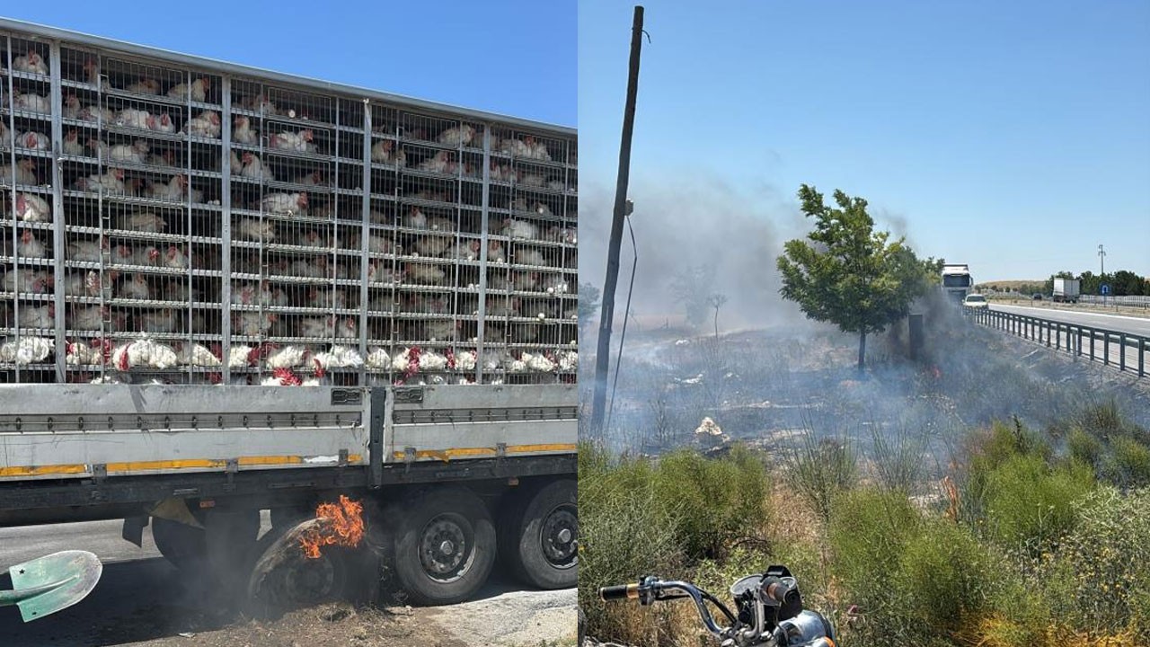 Canlı tavukları taşıyan araçta yangın paniği