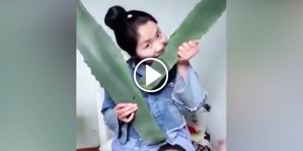 Canlı yayında yanlış bitkiyi yiyince hastanelik oldu