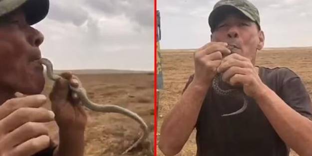 Canlı yılanı ağzına soktu! Feci şekilde can verdi